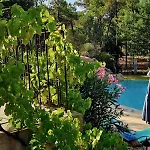 Villa Avec Piscine A Debordement - Sans Vis A Vis