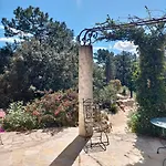 Avec Piscine A Debordement - Sans Vis A Vis Roquebrune-sur Argens