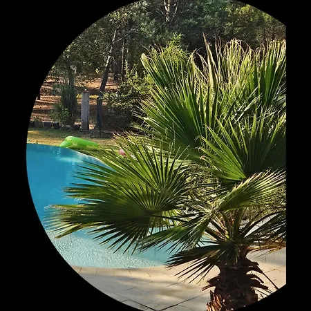 Avec Piscine à Débordement - Sans Vis à Vis * Roquebrune-sur-Argens